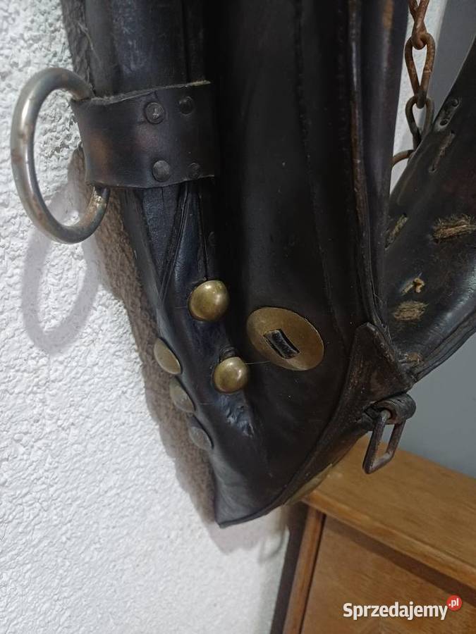 Homonto konia wielkopolskie Nowy Tomyśl sprzedam