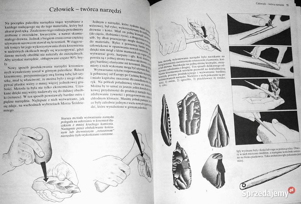 Pierwsi ludzie pierwsze cywilizacje Tom 1 John Chełm sprzedam