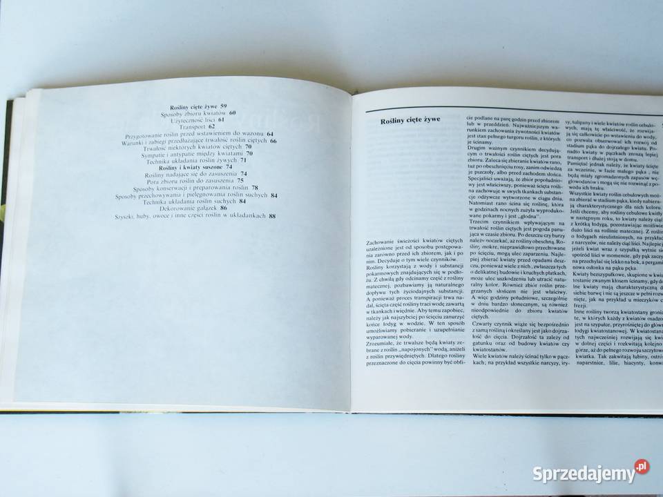 Układanki roślinne Joanna Szendel dom i ogród Kraków