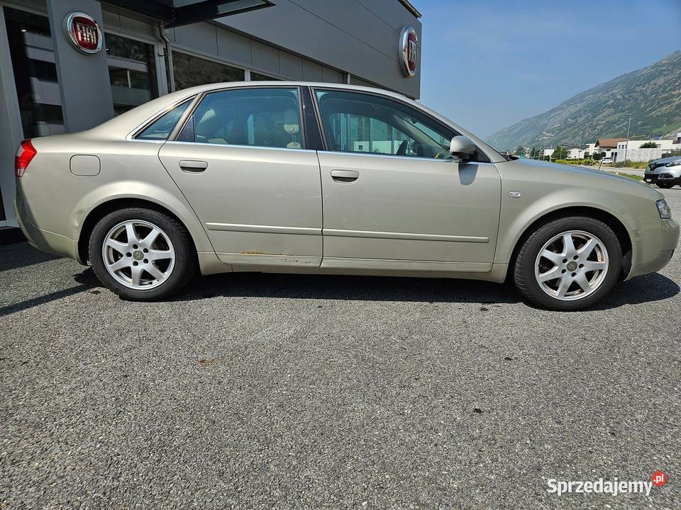 Listwa zgarniająca na drzwi Audi A4 B6 chrom Szczerbice