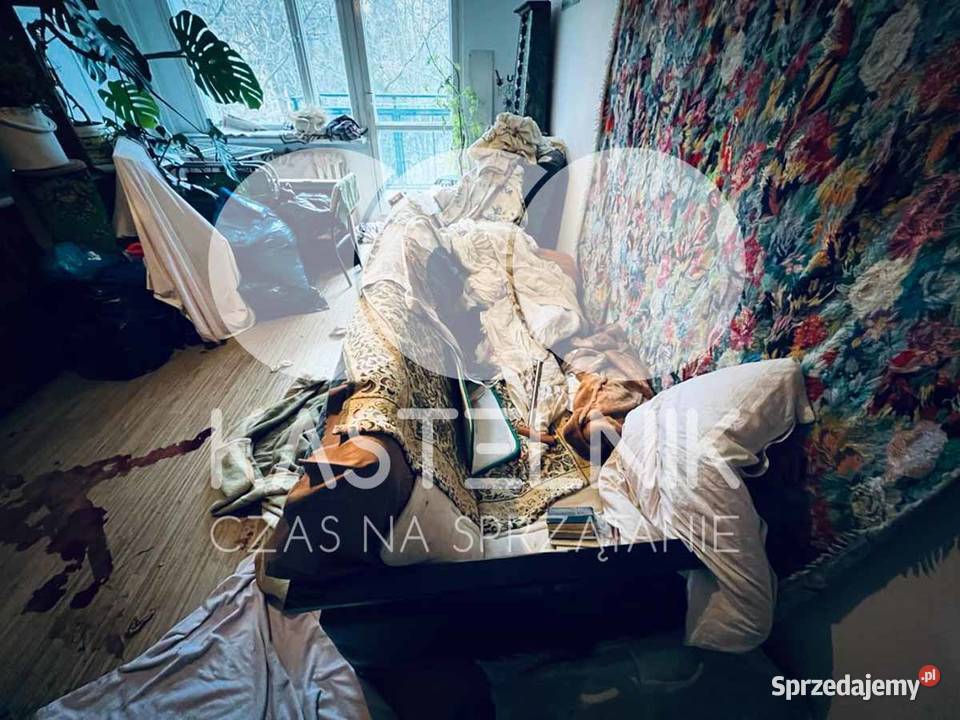 Sprzątanie zgonach Wodzisław Śląski Dezynfekcja