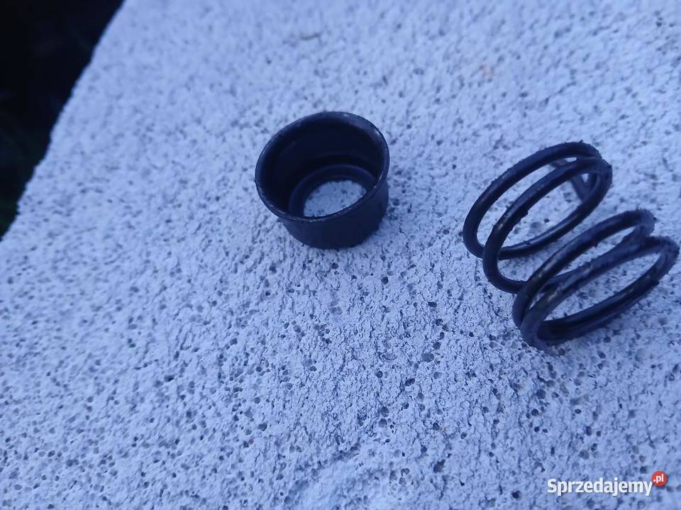 sprężyna docisku wałka rozrządu Deutz Pozostałe