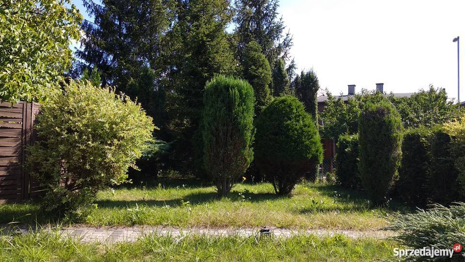 Działka rekreacyjna Ogródek działkowy ROD Ruda Śląska