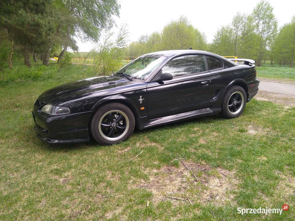 Ford Mustang n98 38L lubelskie Łuków