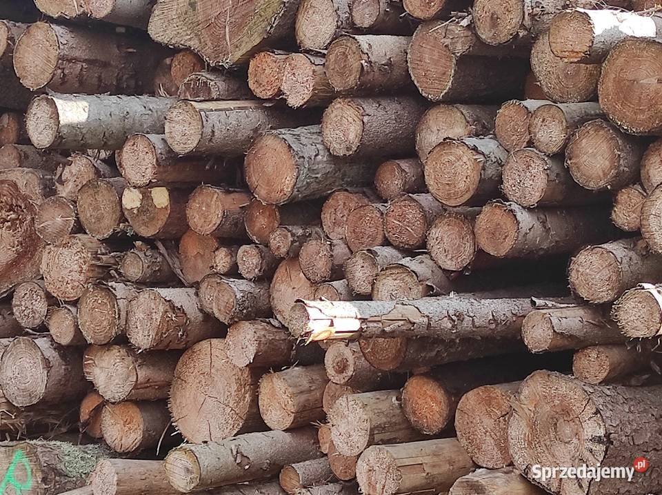 Drewno opałowe Sosna Świerk Dąb Akacja Brzoza Jabłonów