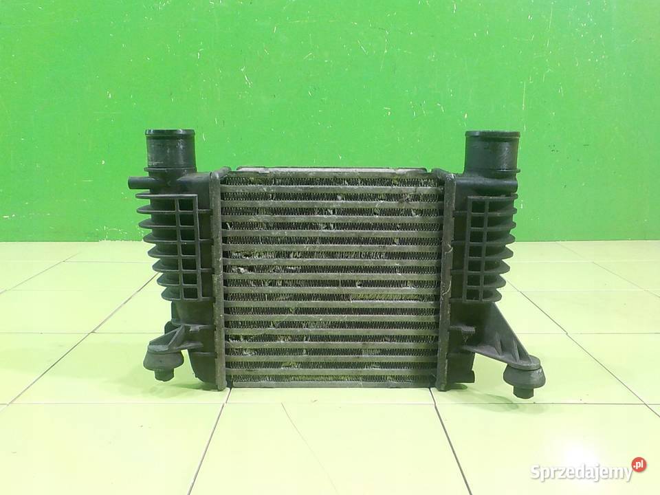 NISSAN JUKE F15 I 10r 15 DCI Intercooler Suków