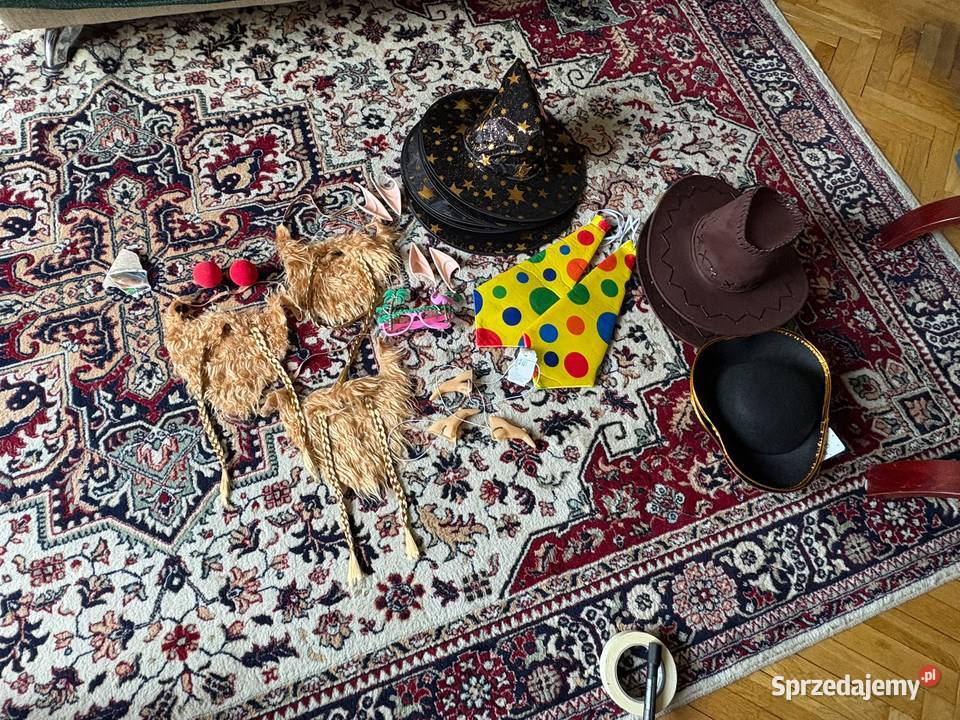 Stroje karnawał cosplay halloween mix śmieszne Warszawa