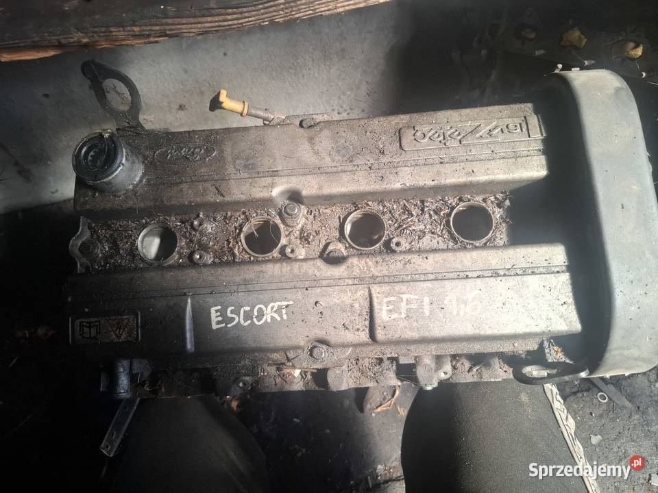 FORD ESCORT 16 EFI silnik motor ZETEC świętokrzyskie Kielce