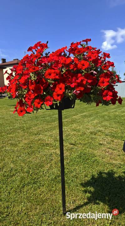 Kwietnik Stojak Ogrodowy Metalowy Na Kwiaty Chybie