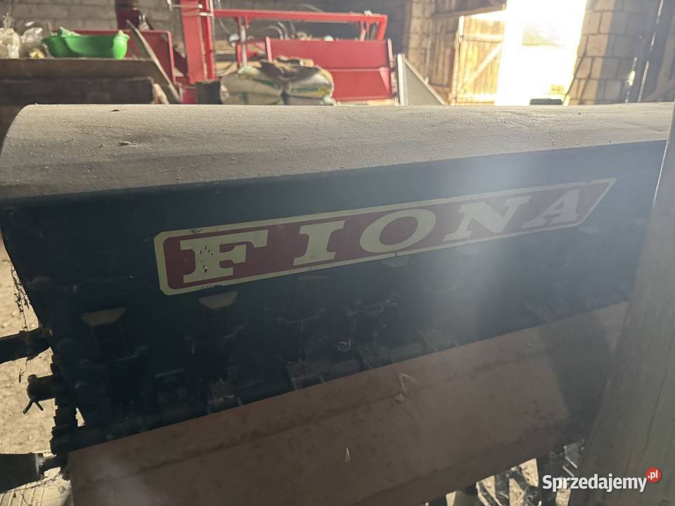 Siewnik Poznaniak Fiona Lipce Reymontowskie sprzedam