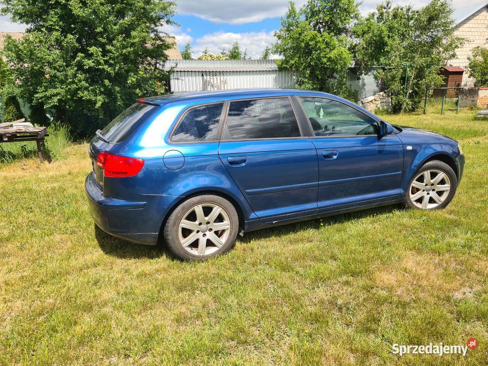 AUDI A3 8P 2004 lubelskie