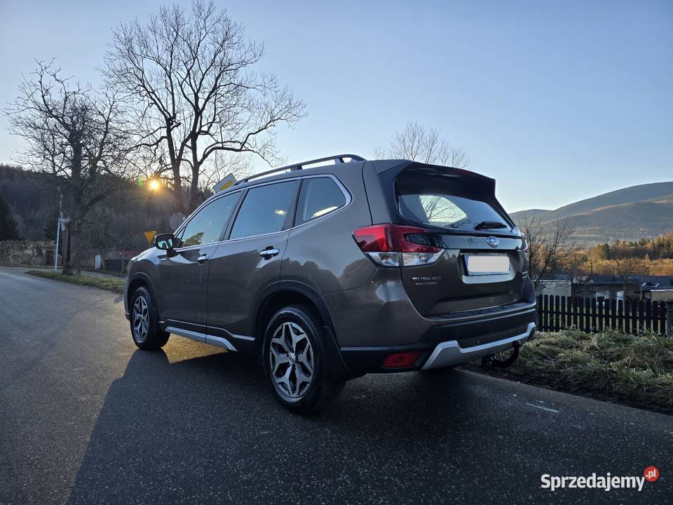 Forester 20 Eboxer CD Kowary