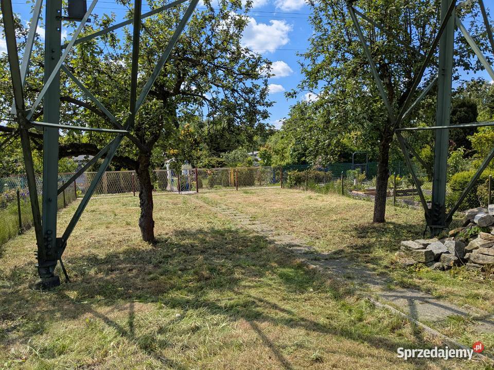 Ogródek działkowy ROD Zacisze Stroszek Bytom śląskie sprzedam