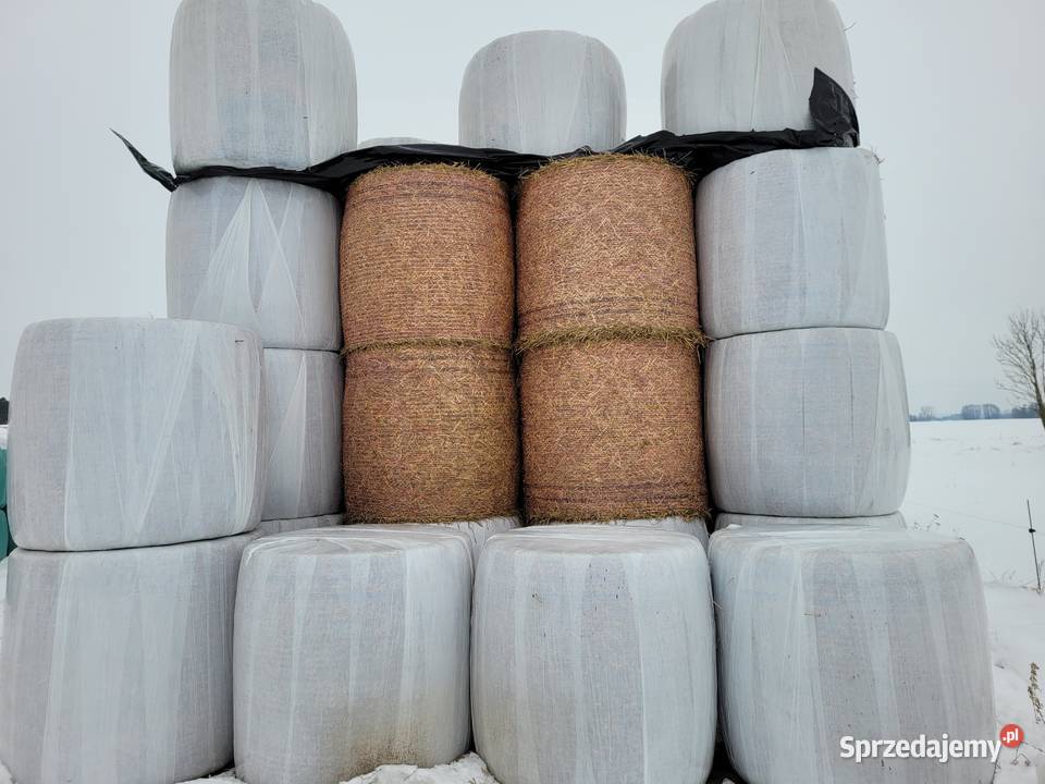 Bele słomy słoma Sokoły