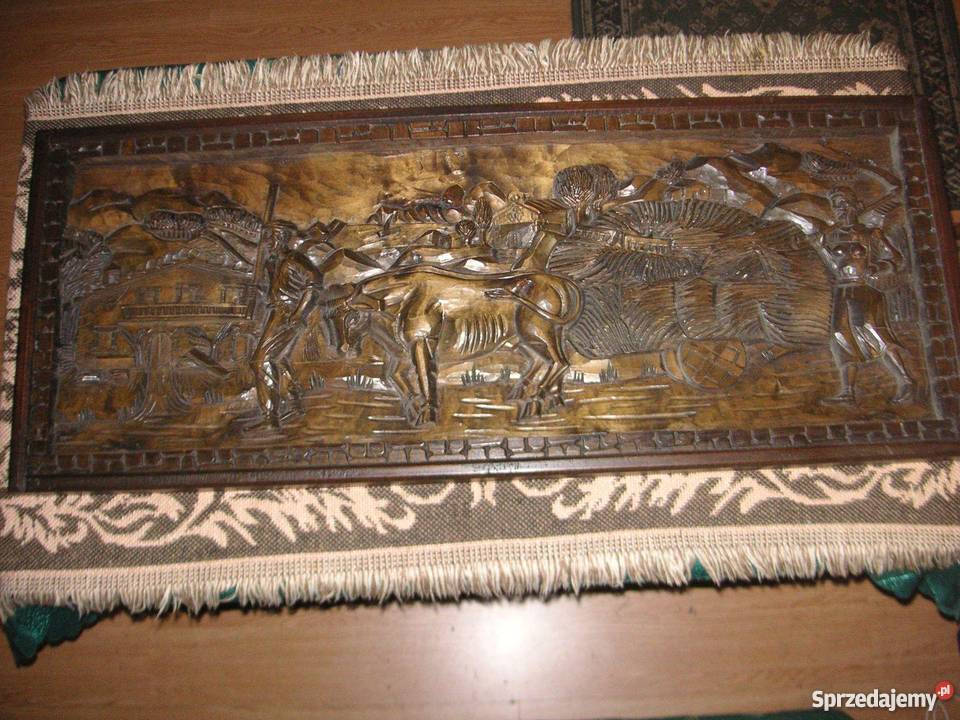 WIELKA PŁASKORZEŻBADREWNO 101x41x35 Wrocław