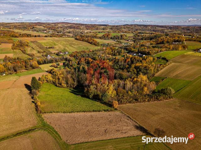 Ogłoszenie dom 156m2 Smarżowa sprzedam