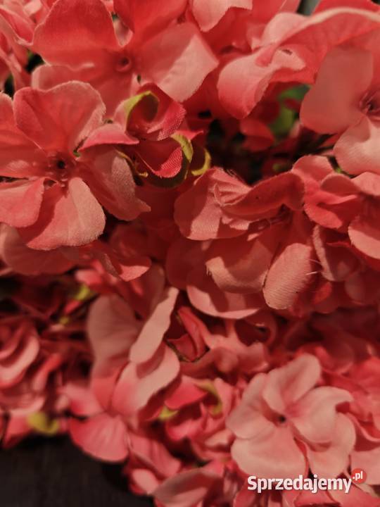 Pelargonie sztuczne bukiety żywe podkarpackie