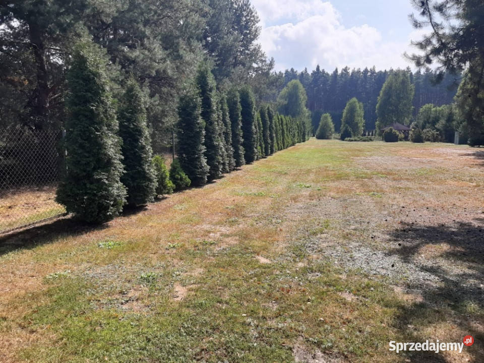 Działka budowlana 3074m2 Czysta