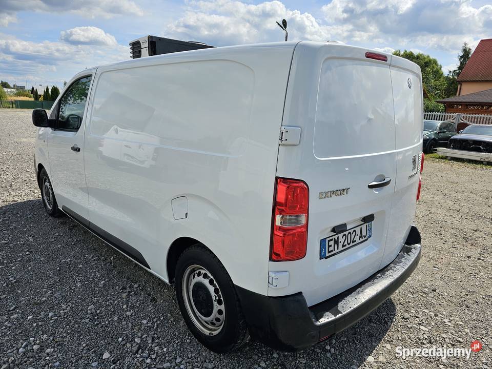 Expert CHLODNIA CARRIER chlodzi grzeje klima wspomaganie kierownicy Tarnobrzeg