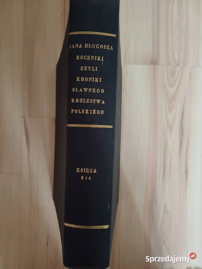 Kroniki Długosza Łódź