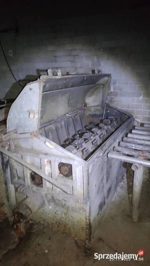 Szczeciniarka kujawsko-pomorskie Więcbork sprzedam