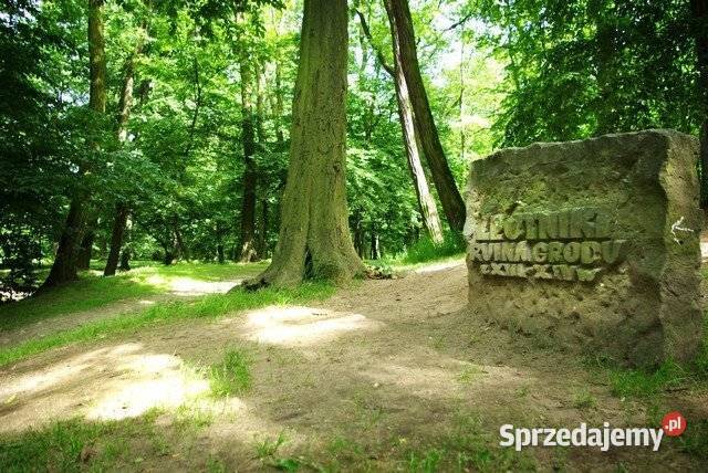 1pok 34met Majchra PIWNICA AOW Wrocław