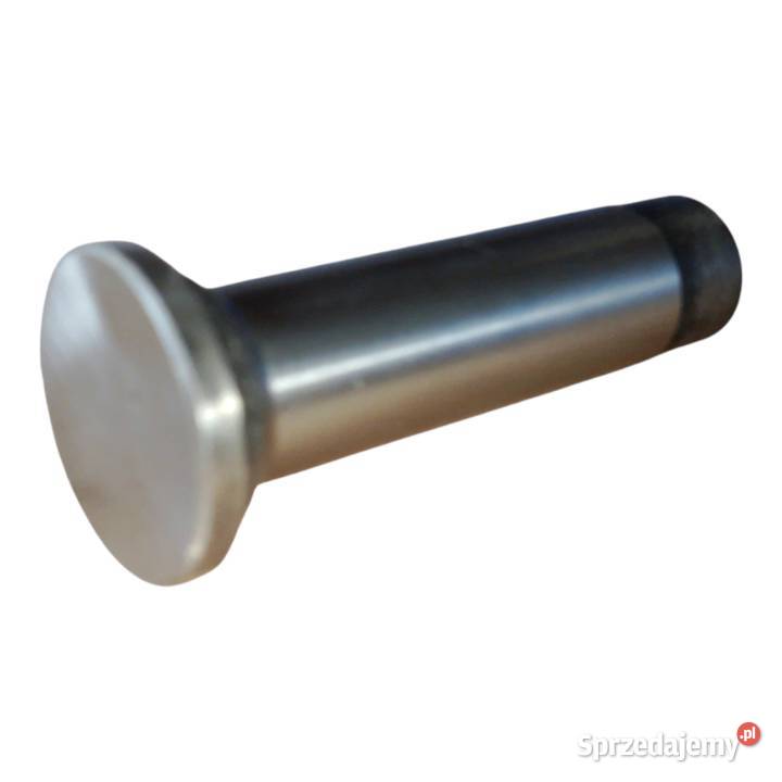 Popychacz 30543 4222069M1 31434163 4222069M1 Silnik i osprzęt Tyczyn sprzedam