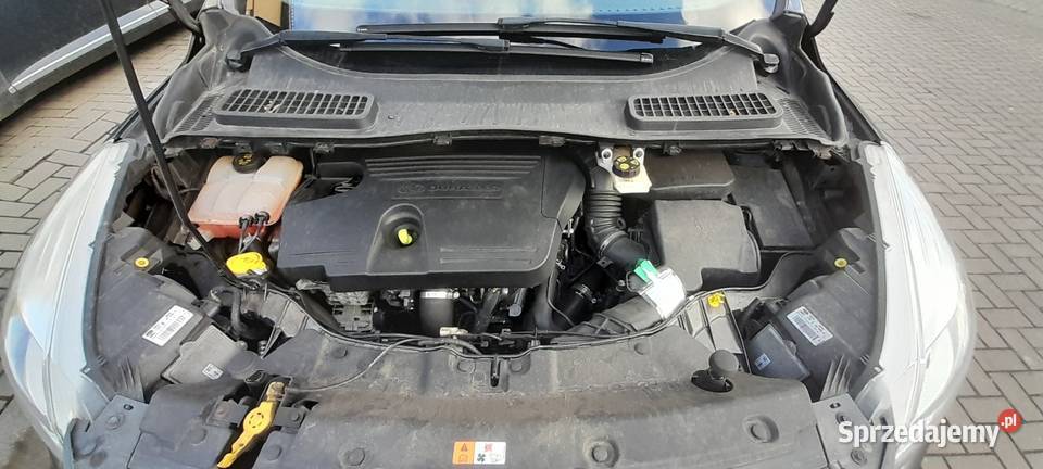 Ford kuga 4x4 aluminiowe felgi Bolesławiec