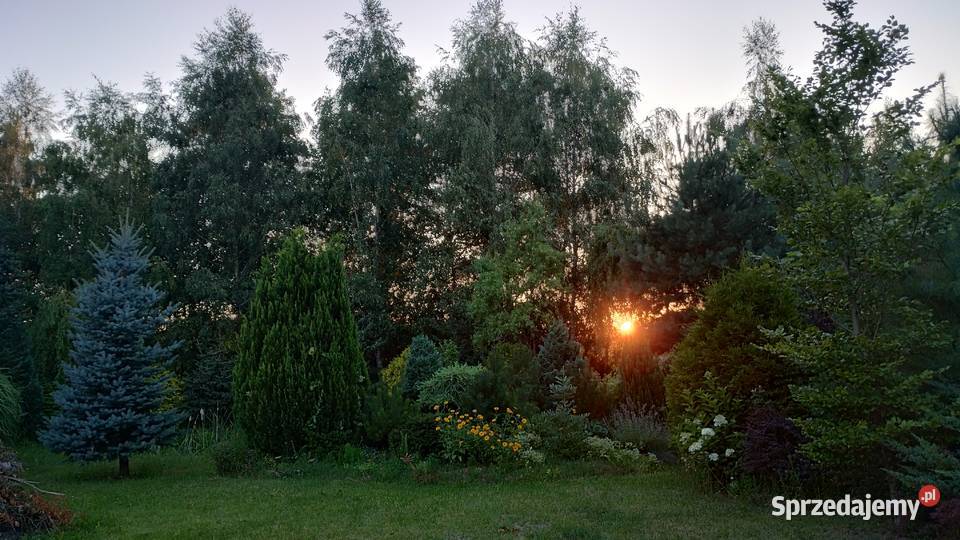 Działka budowlana Koszelówka