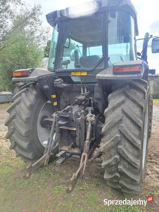 Massey Ferguson 6255 Massey Ferguson Rolnictwo lubelskie Ruda-Huta