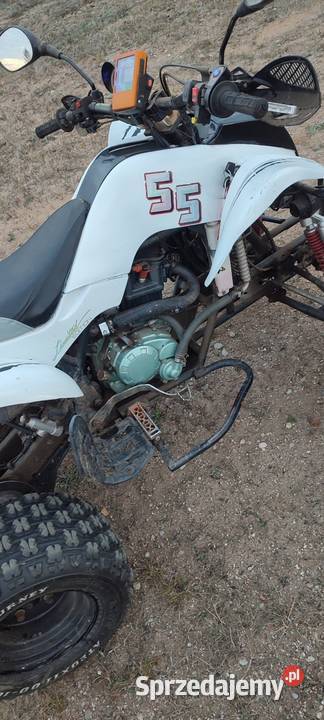 Quad Bashan 250 Działdowo