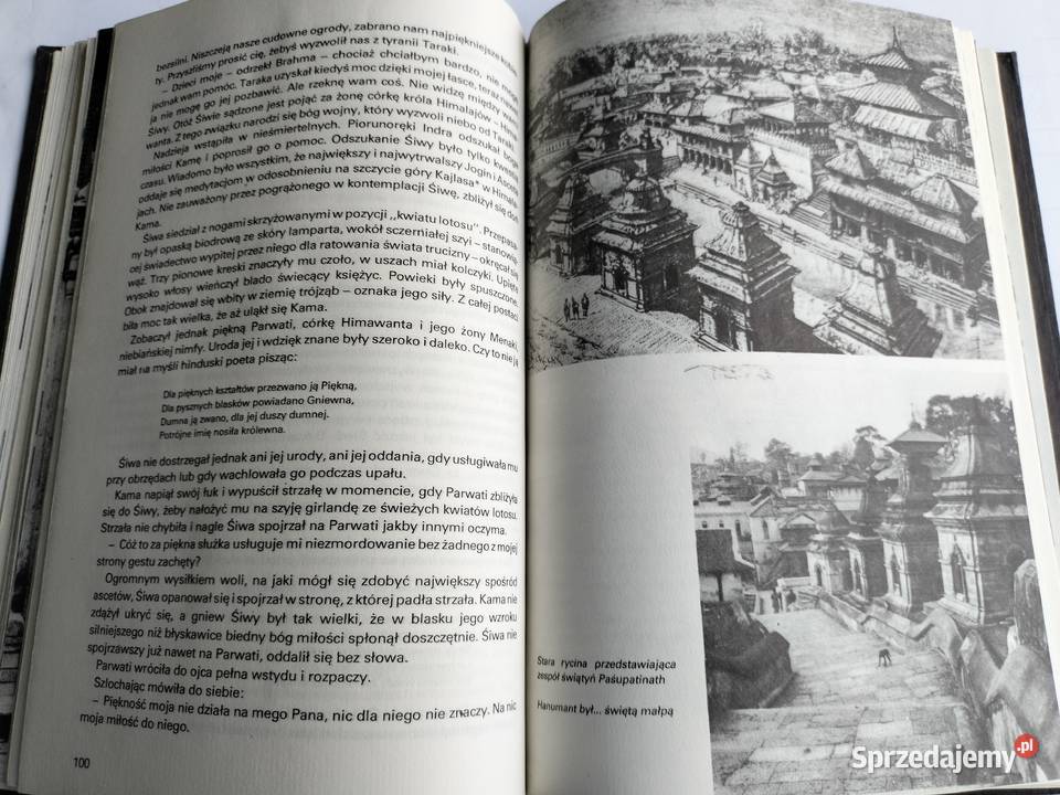 Do Himalajów wiecznych śniegów skarbnicy Gdynia sprzedam