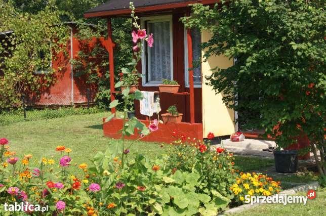 Działka rekreacyjna RODPestka mazowieckie Nowy Dwór Mazowiecki