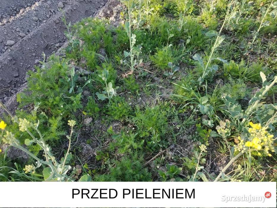 Pielnik opielacz motyka Motyki, łopatki i grabki Lublin
