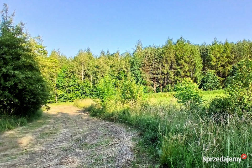 Siedlisko Pisarzowa prawie 5 ha 106m2 małopolskie