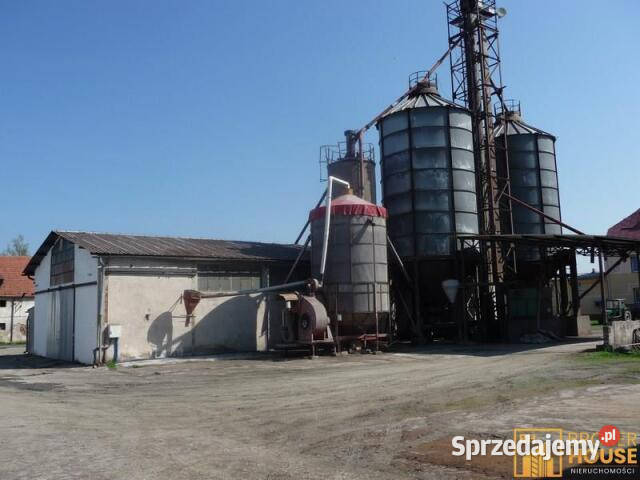 Sprzedam lokal 189897m2 Bielice Sprzedaż