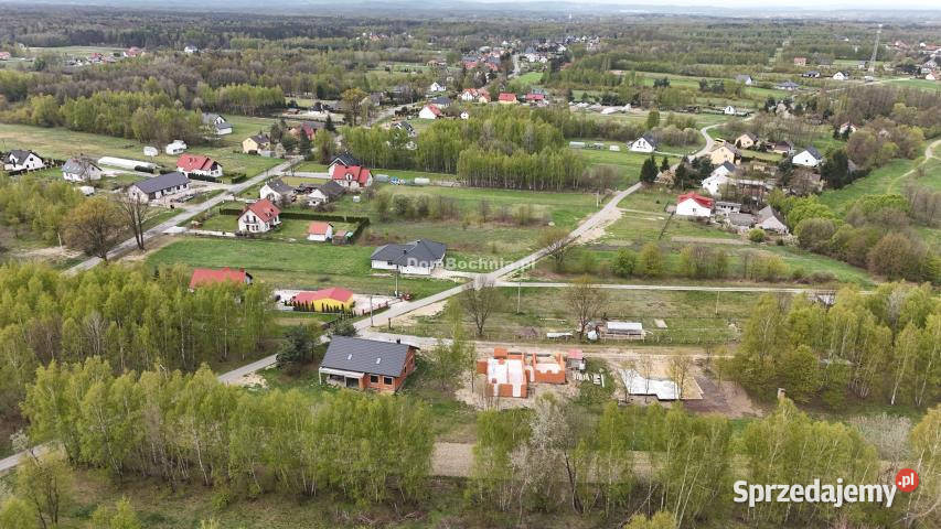 Dom wolnostojący 1675m2 Dąbrówka małopolskie sprzedam