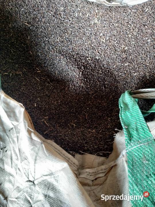 Gryka Produkcja roślinna Nowowola sprzedam