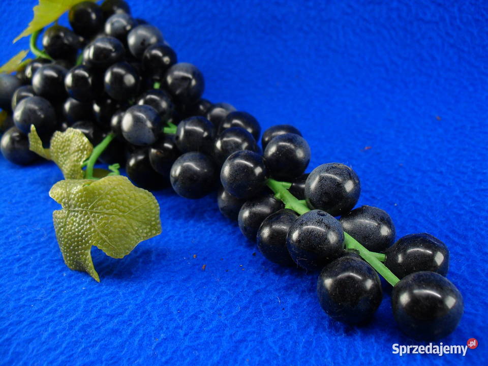 Winogrona do dekoracji Bielawa