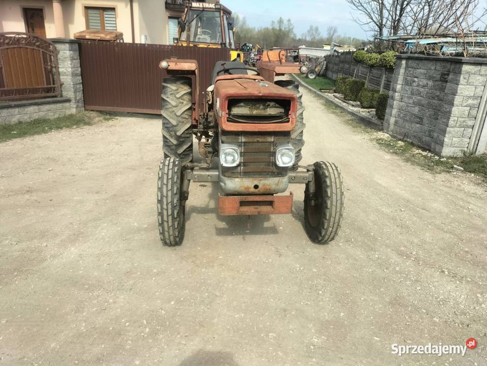 Massey Ferguson MF 135 Busko-Zdrój
