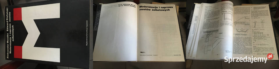 Modernizacja i naprawa mostów żelbetowych Łęczyca