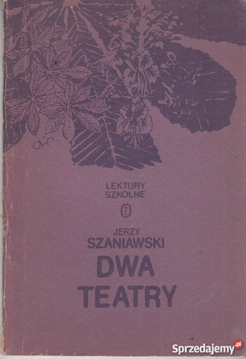 02682 DWA TEATRY KOMEDIA W TRZECH AKTACH JERZY literatura piękna - proza polska Czyrna