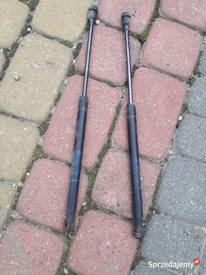 Siłowniki tył Megane 2 3D Hatchback