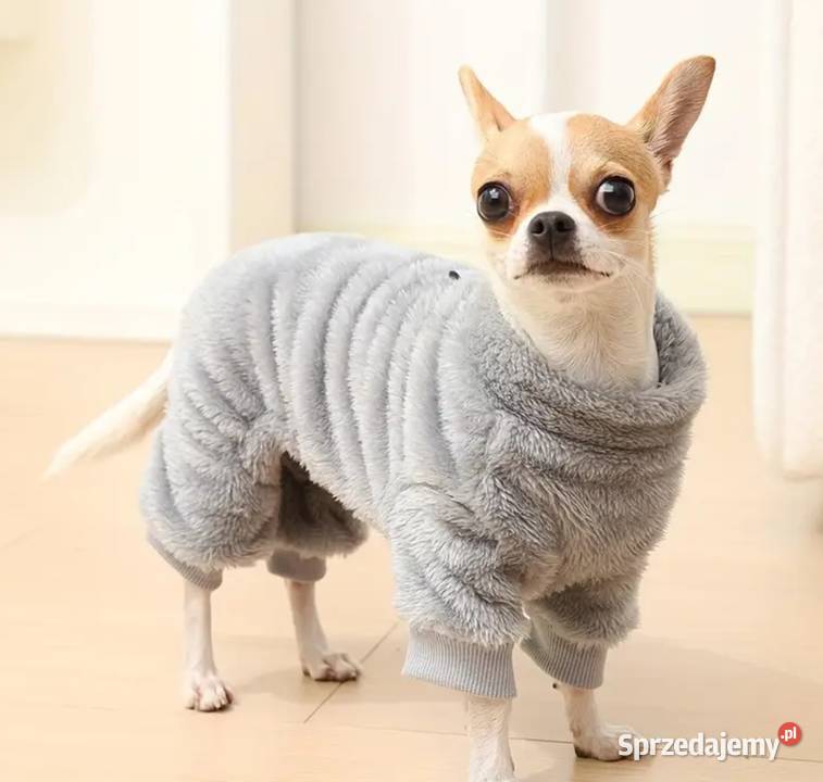 Szara bluzakombinezon małego pieska szczeniaczka Dla psów Bełchatów