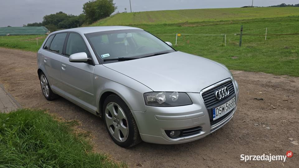 Audi A3 Sportback 20 TDI 2005rm Sprawna51100 A3 dolnośląskie Głogów