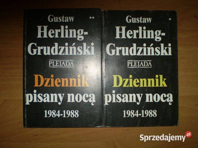 Dziennik pisany nocą dwa tomy Kielce