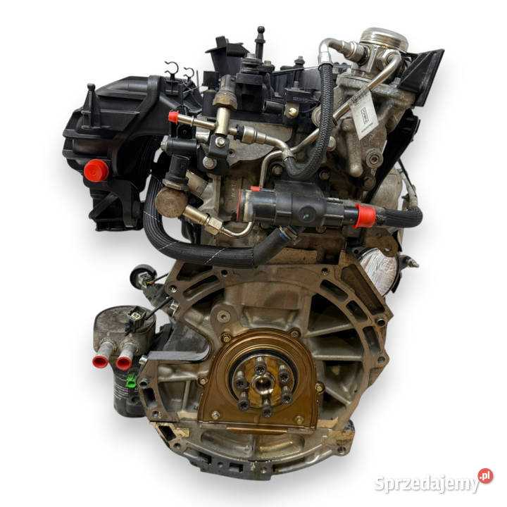 SILNIK TPBA Ford Mondeo IV MK4 20 ECOBOOST T Chełm sprzedam