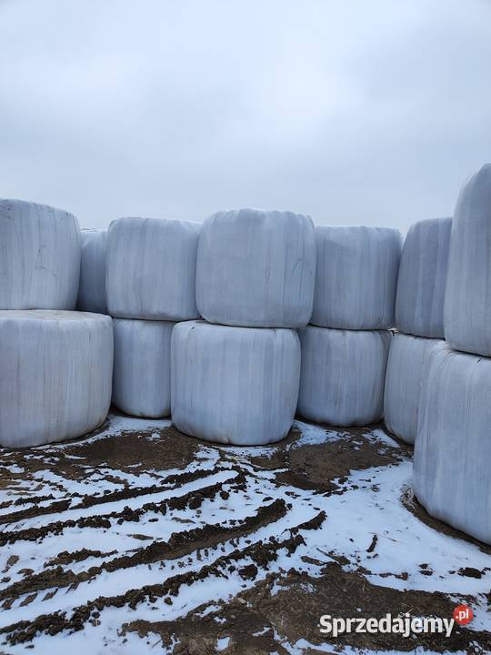 Sianokiszonka siano bele baloty 130x125 łódzkie