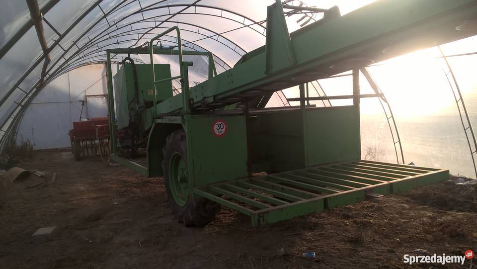 Kombajn do różyczkowania kalafiora brokuła Pacanów