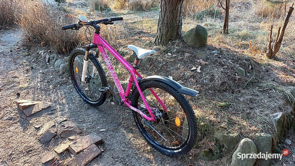 Alu Rower Górski Mtb Młodzieżowy Scott Contessa Wołów